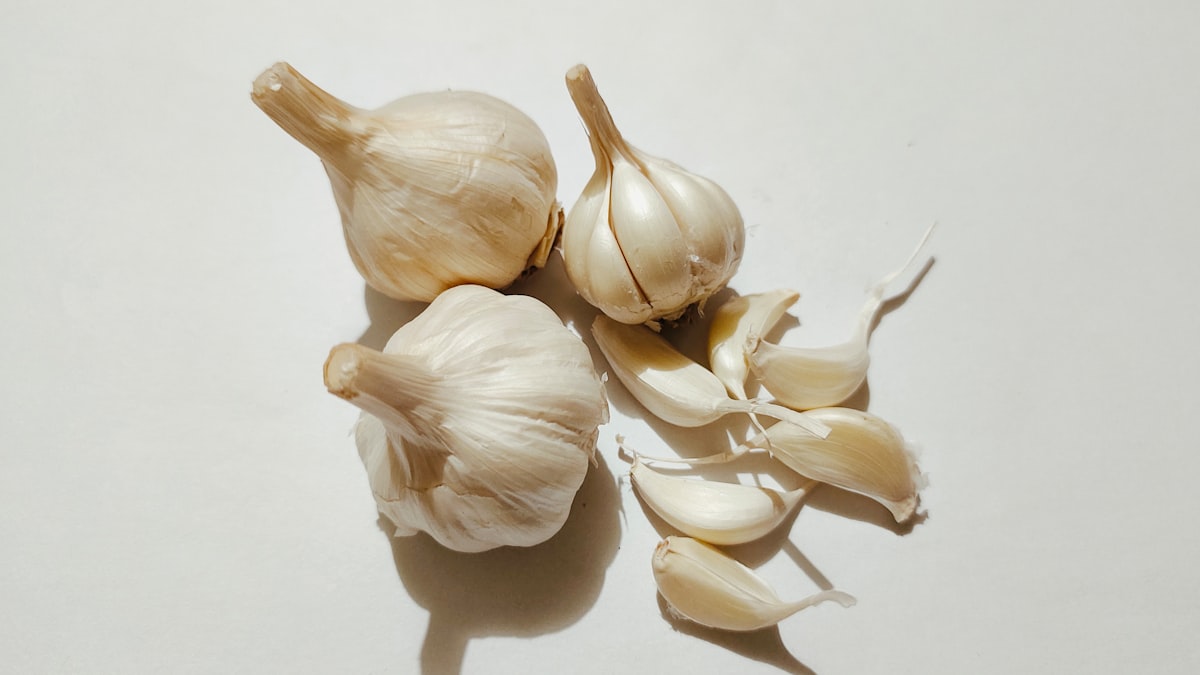 Kokosnussöl antibakteriell